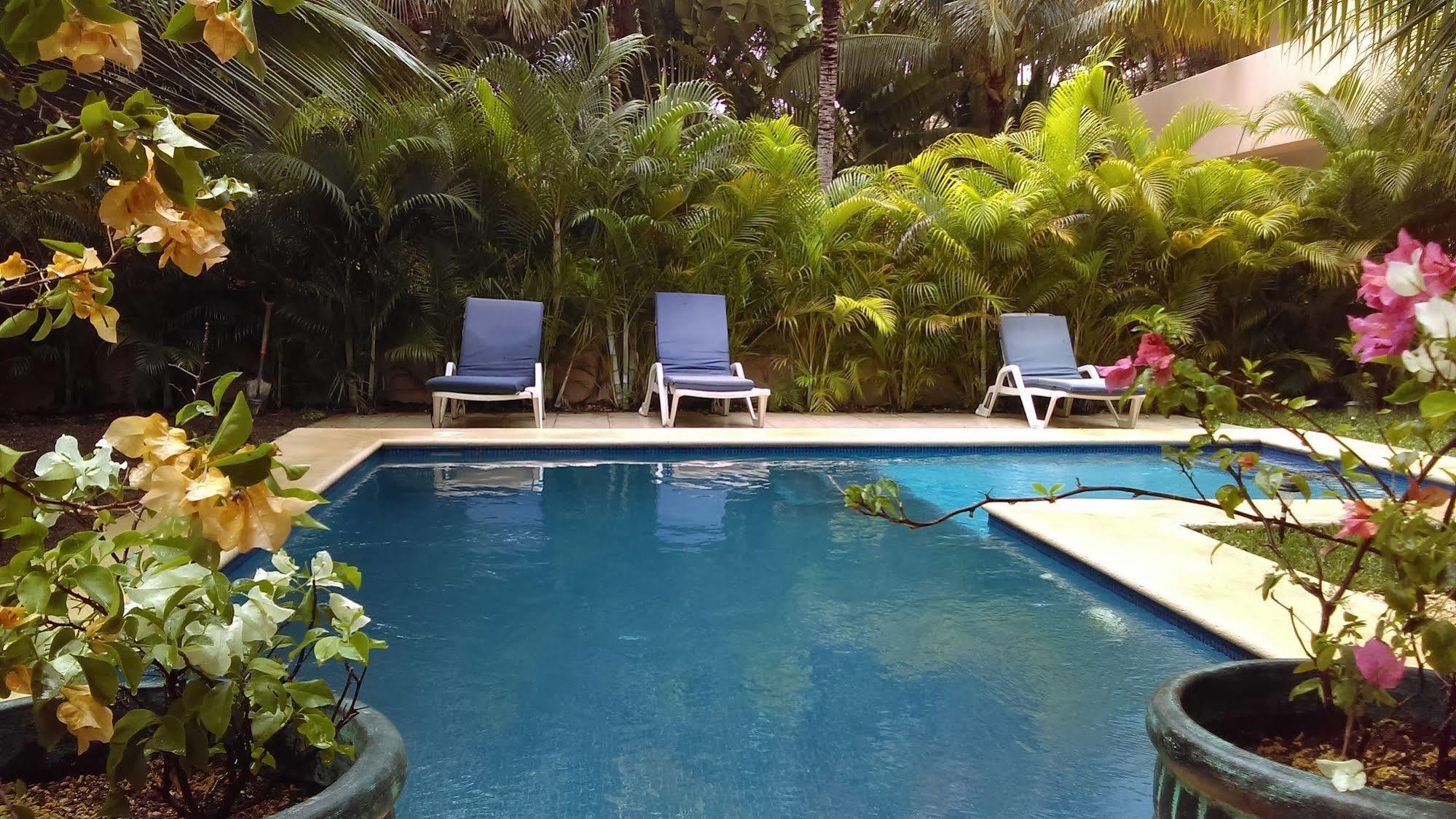 Villas Picalu Lodge Puerto Aventuras Exterior photo